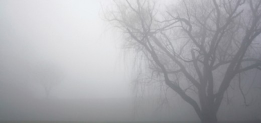 Heavy Fog in the morning