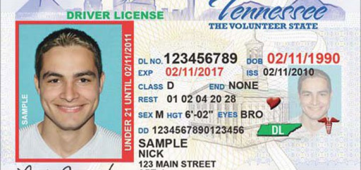 Tennesseans can now renew driver licenses every 8 years